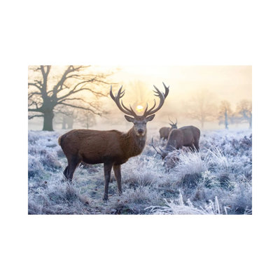 Seasons Greetings MXE92