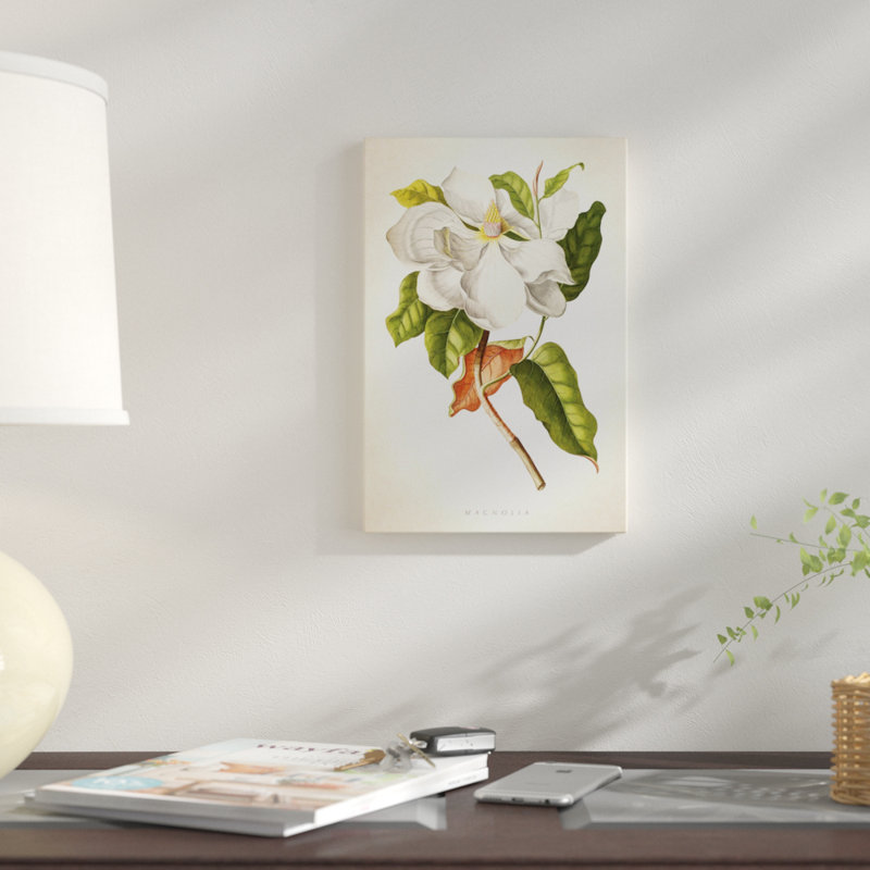 « magnolia botanique print i », impression sur toile, H 26 po x l 18 po x P 1,5 po, Toile tendue, Pas de tapis