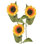 Sunflower Stem