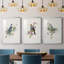 «Spring Song Blue Bird» - ensemble de photos encadrées-384428555-384428558