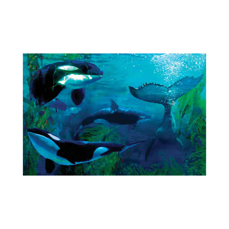 Orca by Lisa Robinson - Wrapped Canvas Print, 152.5 cm H x 101.5 cm W