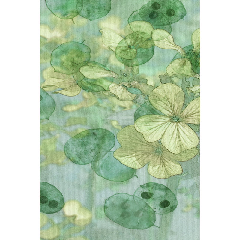 Mint Progeny I by Sharon Chandler - Wrapped Canvas Painting, 30cm H x 20cm W