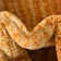 Osteen Striped Yellow Area Rug