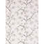 Pignoli Wallcovering-538735764