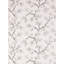 Pignoli Wallcovering-538735771