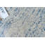 Vintage Looms Light Blue/Blue Polyester powerloom Area Rug-95833327