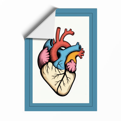 Anatomical Heart Diagram Modern - Framed Print