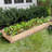 Cisbrough Multi-sized Outdoor Fir Wood Elevated Planter Box for Yard-1260006838-1209475034