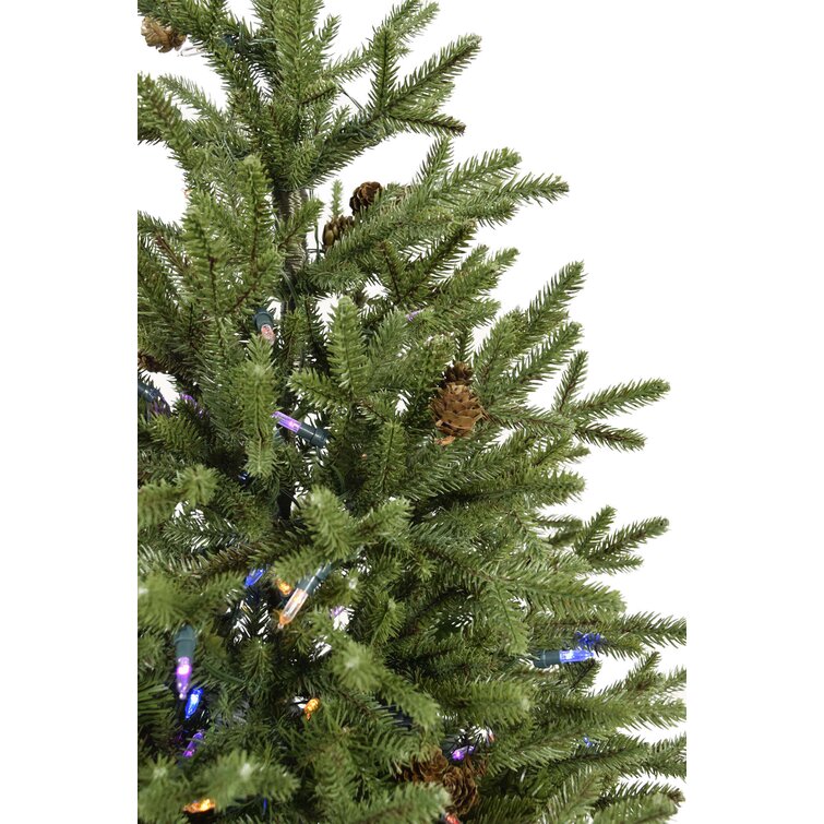 The Holiday Aisle® Birch 48' Traditional Christmas Tree with LED Lights and Remote  Control, Christmas Tree