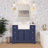 Emiliano 42'' Single Bathroom Vanity with Top-268005257-268005271