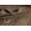 Tapis traditionnel 8 x 11