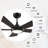52'' Ceiling Fan with LED Lights