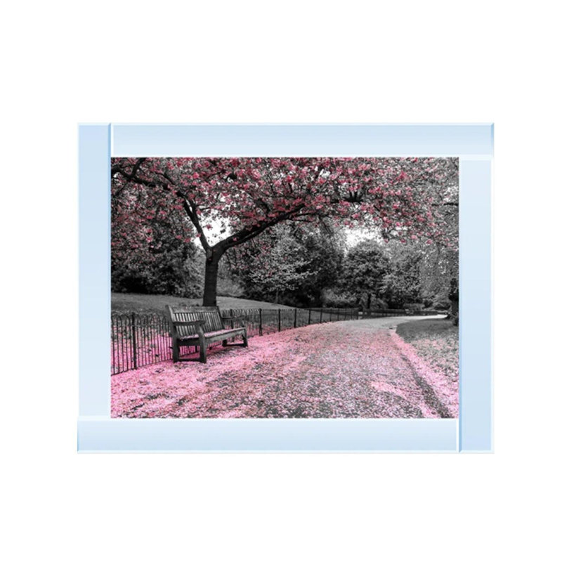 Mirror Frame Print on Canvas