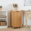 File Cabinet-2141032093