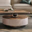 Brun noisette + argent + bois manufacturé blanc crème + table basse en acier inoxydable-109242662