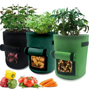 Wholesale Reusable and Durable PE potato grow bag 10 Gallon Tent and  Greenhouse