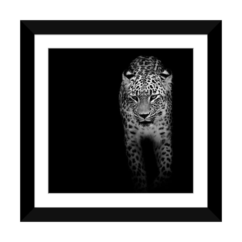 «Leopard II», reproduction de photo sur toile, H 16 po x l 16 po x P 1 po, Papier beaux-arts encadré noir, Blanc