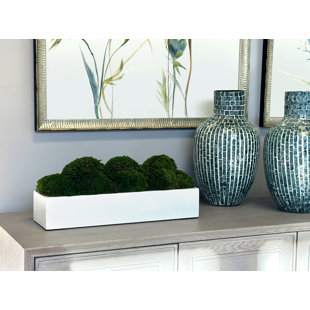 Nature's Nostalgia Preserved Moss in Fiberstone Planter