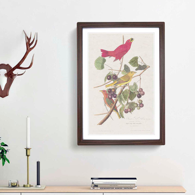 Summer Red Birds by John Audubon - Picture Frame Painting Print, 48cm H x 36cm W x 2cm D, Walnut Framed
