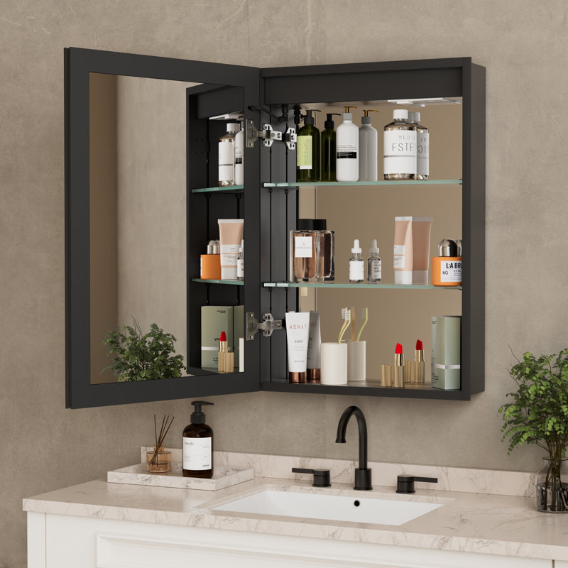 Armoire à pharmacie avec miroir à DEL l 24 po x H 30 po Tyrise, homologuée ETL, éclairage à intensité variable, désembueur antibuée, très grand rangement, tablettes réglables, encastré ou à fixation en surface