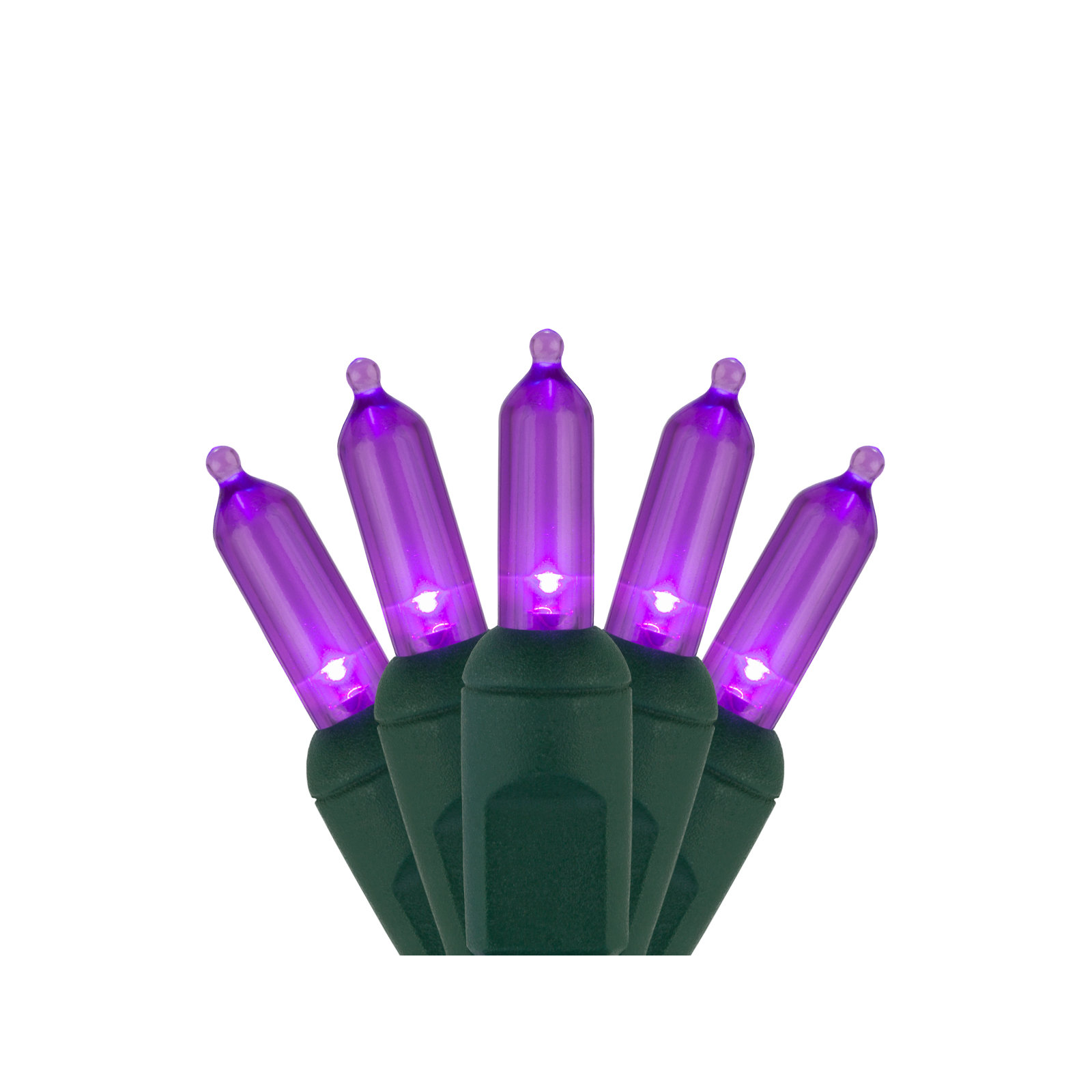 306'' LED String Lights, Purple