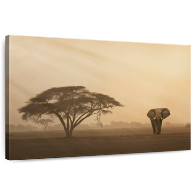 Éléphant Brampt dans le parc Amboseli