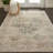 Dreya Performance Oriental Indoor Rug-31378725