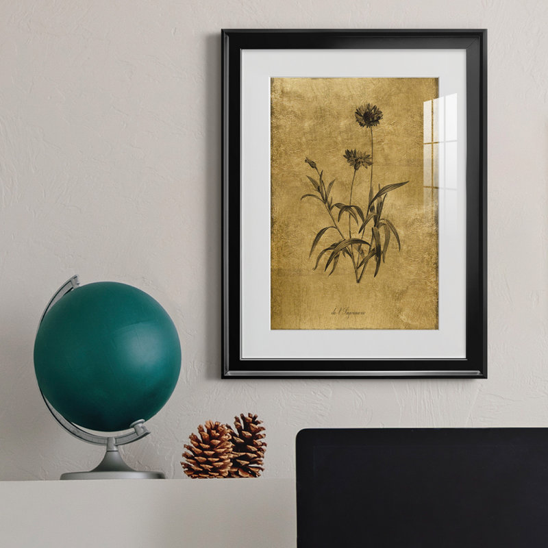 Croquis doré Botanique I - Cadre photo, reproduction d'art sur papier, H 24,5 po x l 18,5 po x P 1,5 po, Noir