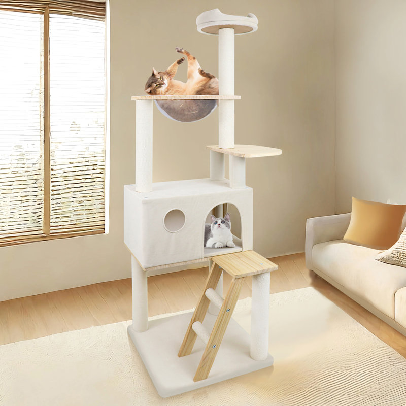 Tour pour chat en bois de 165 cm avec grand vaisseau spatial transparent - stable pour les propriétaires, couverture épaisse de 400 g / m, arbre à griffes amélioré, animaux robustes de 20 lb, tout confort