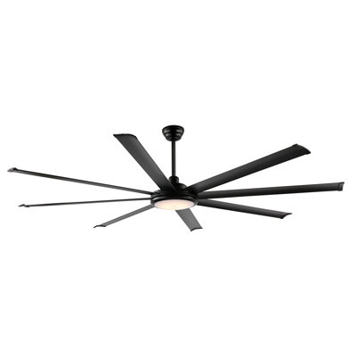 Osaze Ceiling Fan with LED Lights