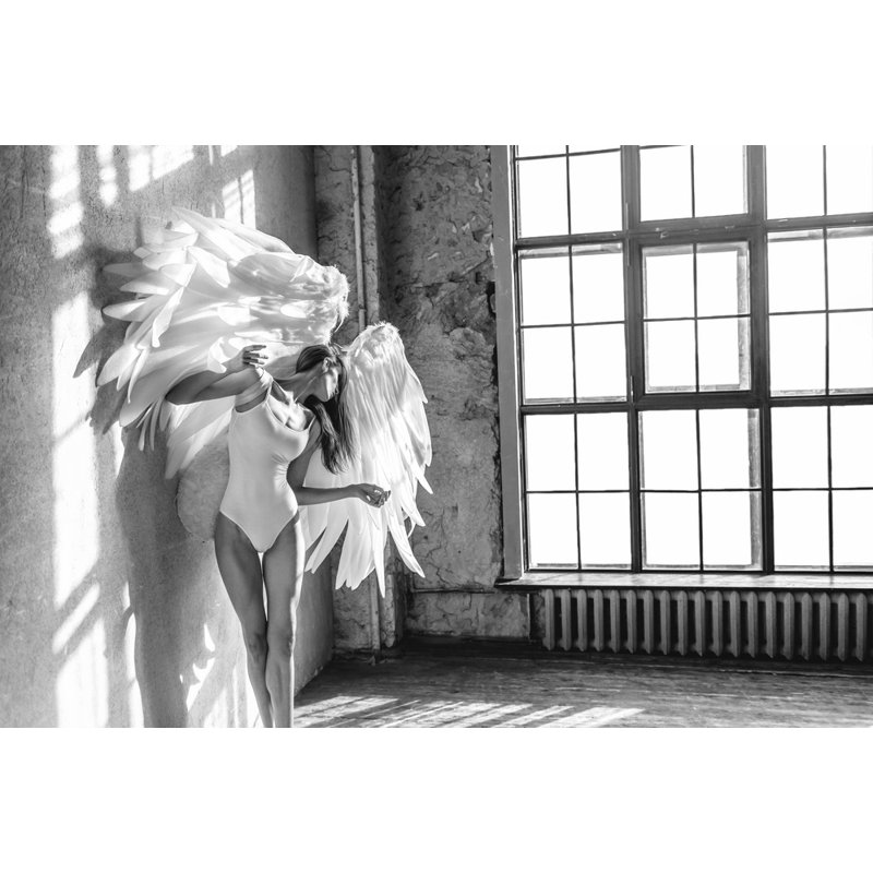 Wrapped Canvas Print, 50.8 cm H x 76.2 cm W