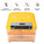 Symple Stuff Chasteen Egg Incubator