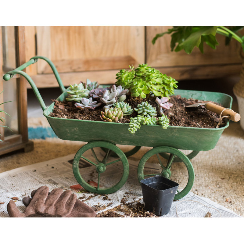 Penix Metal Wheelbarrow Planter