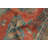 Handmade Wool Traditional Rug 3x4