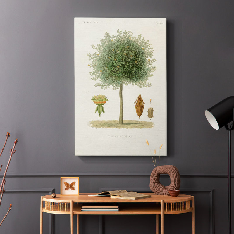 Arbre antique avec cavas enveloppés d'une galerie de fruits, H 36 po x l 24 po