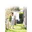 Brabantia 50m Lift-O-Matic Rotary Clothes Line with Accessories-57409120