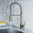 Dowell Pull Down Kitchen Faucet-43235576