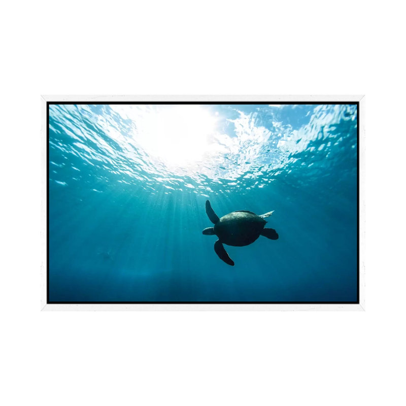 Sun Burst by Sean Davey - Print on Canvas, 45.72cm H x 66.04cm W x 3.81cm D, White Floater Framed