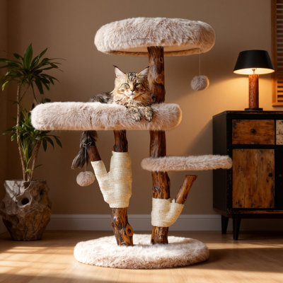 Arbre à chat en bois massif pour grands chats