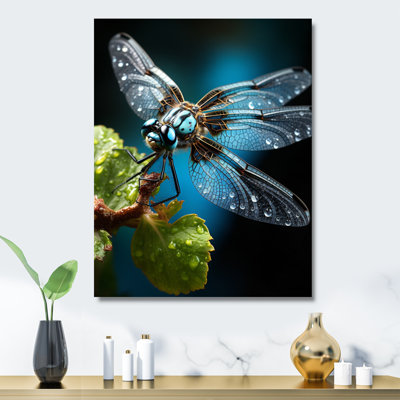" Teal Dragonfly Insects Flight "