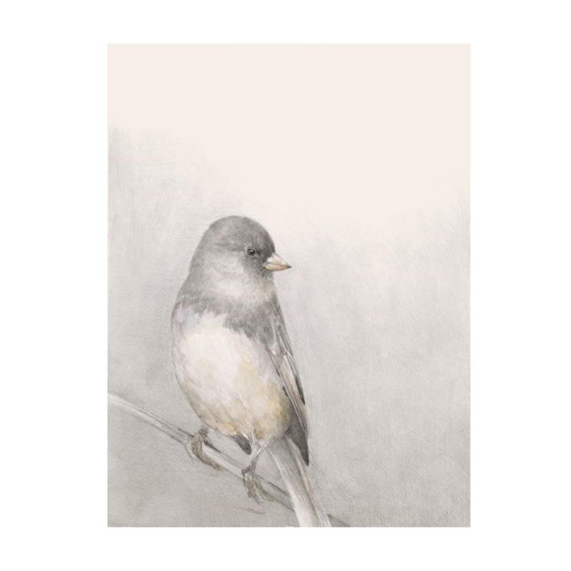 Croquis d'oiseaux par Sara Brown - impression, Couche de verre, H 63 po x l 47 po x P 1,5 po