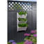 Aakanksha Handmade Wood Wall Planter-735864302