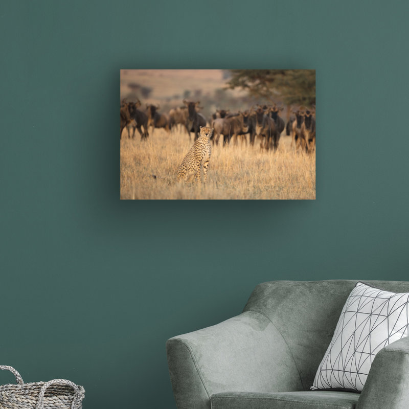 Aware par Renee Doyle - reproduction de photo sur toile tendue, H 30 po x l 47 po x P 2 po