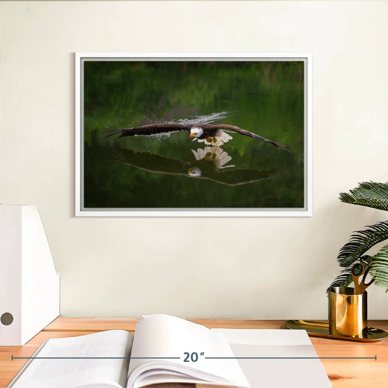 Aigle à tête blanche, Cadre flottant blanc, 13 po x 9 po