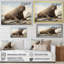 Morse de Regal sur toile-1590597911-1590597933