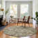 Premium Machine Washable Antonelli Chocolate Rug