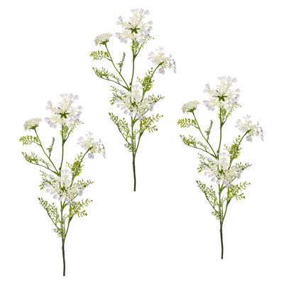Field Yarrow Stems