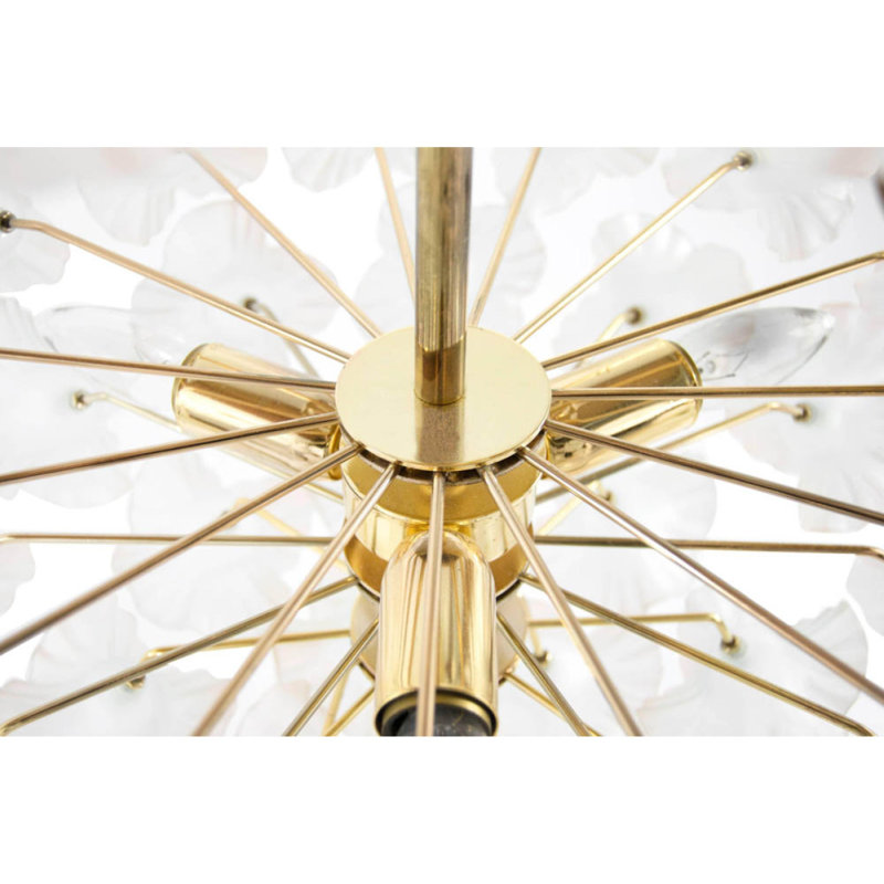 Lustre en laiton 16 lumières Murana, Nickel brossé, Transparent / noir, 20” Length x 20’ Width x 24” Height