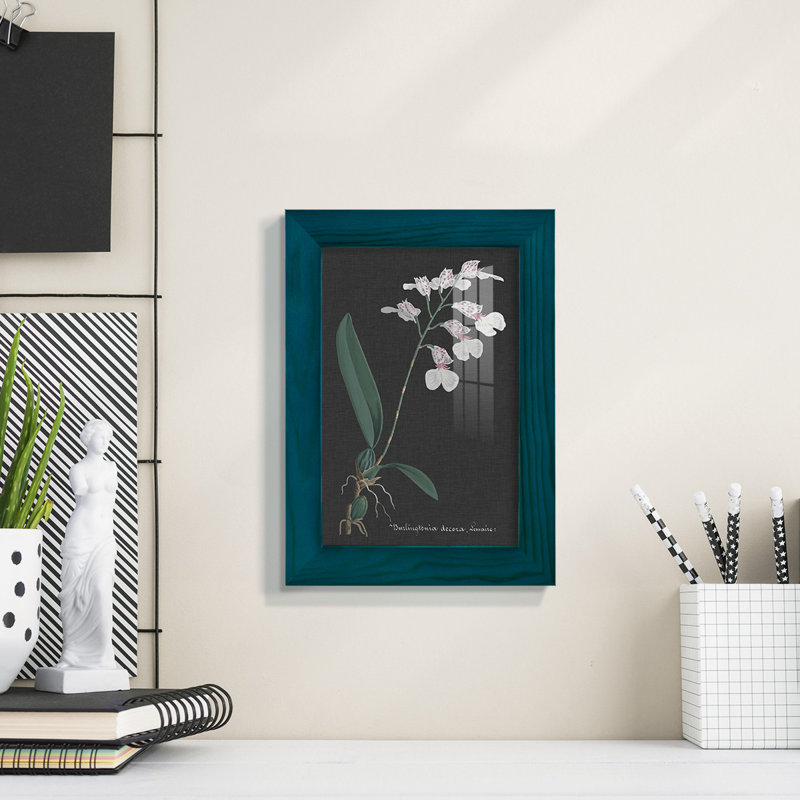 Orchidée sur ardoise VI - impression d'un seul cadre photo, H 6 po x l 4 po x P 1 po, Bleu