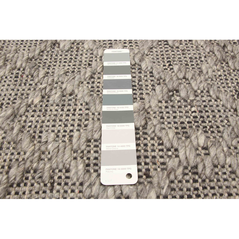 Henar Performance Hand Braided Wool Rug